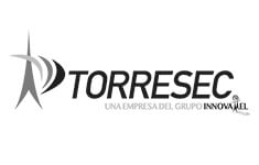 Torresec Logo
